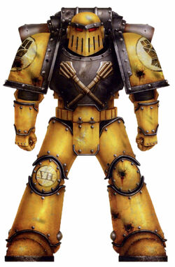 Warhammer 40K Factions: The Legendary Imperial Fists