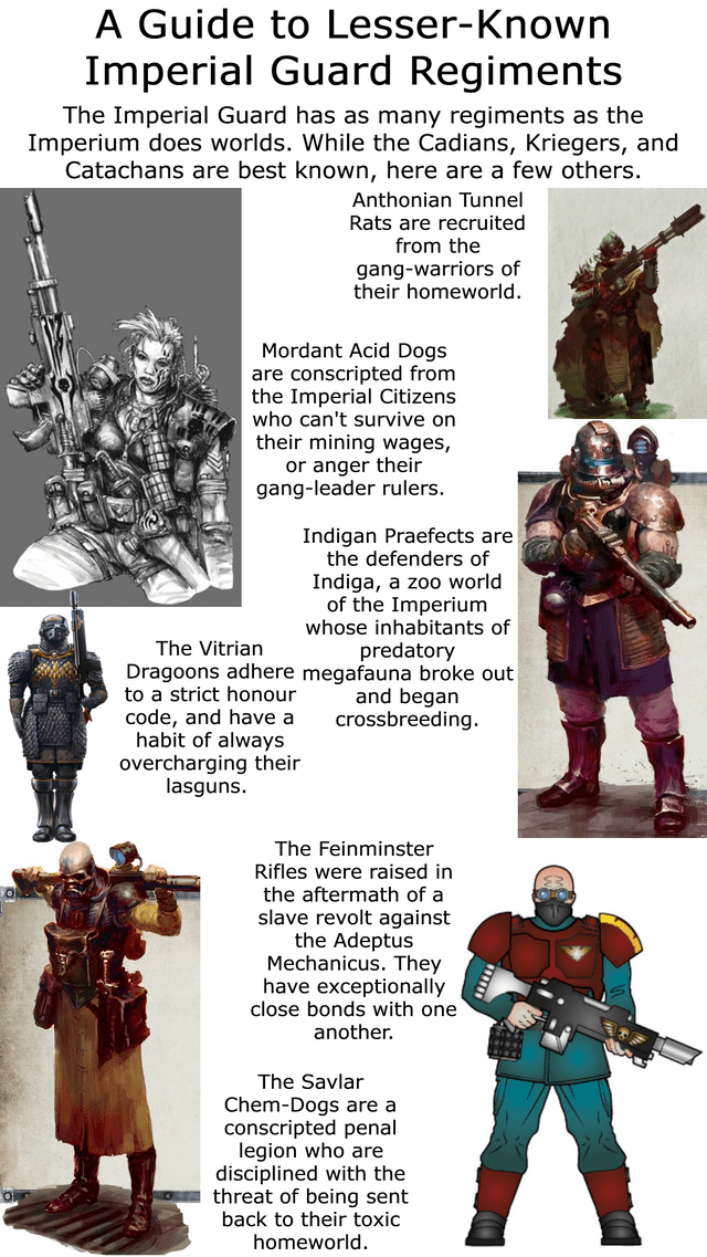 The Loyal Imperial Guard: Warhammer 40k Characters Explored 2